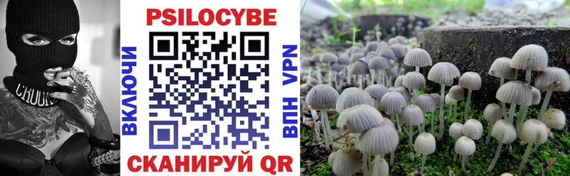 Псилоцибиновые грибы Magic Shrooms  блэк спрут ссылка  Лесосибирск 