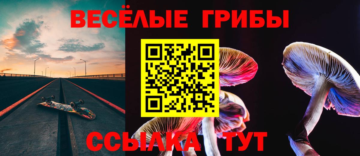 Галлюциногенные грибы ЛСД  Псилоцибиновые грибы ЛСД  Лесосибирск  Вход с VPN 